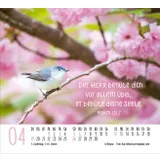 Stimmungsbild zu Atempause 2026 - Minikalender