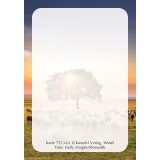 Stimmungsbild zu Karten-Box: Jesus Worte