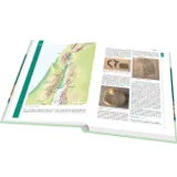 Stimmungsbild zu Lexikon zur Bibel