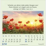 Stimmungsbild zu Worte des Lebens 2026 - Postkartenkalender