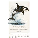 Stimmungsbild zu SchmuckStücke des Schöpfers 2026 - Posterkalender