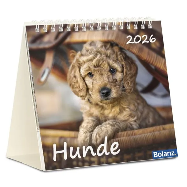 Produktbild des Artikels Hunde 2026 - Tischkalender (Kalender - Spiralbindung)