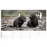 Stimmungsbild zu Life is more 2026 - Panorama-Tischkalender
