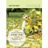 Stimmungsbild zu Hunde sind die besten Freunde 2026 - Wochenkalender