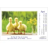 Stimmungsbild zu Die Freude geht mit uns 2026 - Aufstellkalender