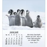 Stimmungsbild zu Meine kleinen Freunde 2026 - Tischkalender