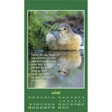 Stimmungsbild zu Hallo Du 2026 - Aufkleber-Kalender