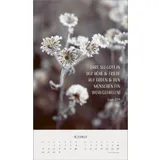 Stimmungsbild zu Zarte Blumengrüße 2026 - Posterkalender
