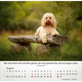 Stimmungsbild zu Hunde 2026 - Tischkalender