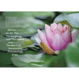 Stimmungsbild zu Ein Licht der Hoffnung in meiner Trauer