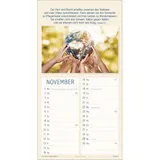 Stimmungsbild zu Meine Zeit in seinen Händen 2026