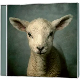 Produktbild des Artikels Lion (Audio - Doppel-CD)