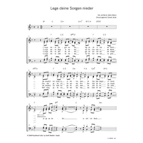 Produktbild des Artikels Lege deine Sorgen nieder (Noten - Download)