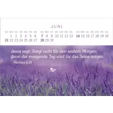 Stimmungsbild zu Das Geschenk der Freude 2026