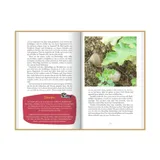 Stimmungsbild zu Bin im Garten - Jesus treffen