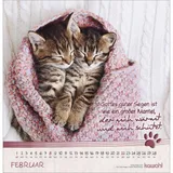 Stimmungsbild zu Katzen-Tatzen 2026 - Wandkalender