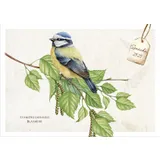 Stimmungsbild zu Postkartenbox "Meisterwerke des Schöpfers"