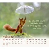 Stimmungsbild zu Du bist meine Freude 2026 - Tischkalender