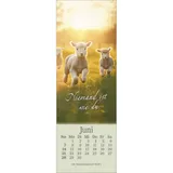 Stimmungsbild zu Sei behütet jeden Tag 2026 - Lesezeichen-Kalender