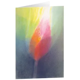 Produktbild des Artikels Kunstkarten "Knospe" 5 Stk. (Schreibwaren)