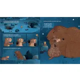 Stimmungsbild zu Magnus geht die Sonne suchen