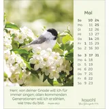 Stimmungsbild zu Kleine Blumengrüße 2026 - Aufstellkalender