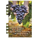 Stimmungsbild zu Tage voller Licht 2026