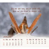 Stimmungsbild zu Du bist meine Freude 2026 - Tischkalender