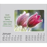 Stimmungsbild zu Freude für jeden Tag 2026 - Mini-Aufstellkalender