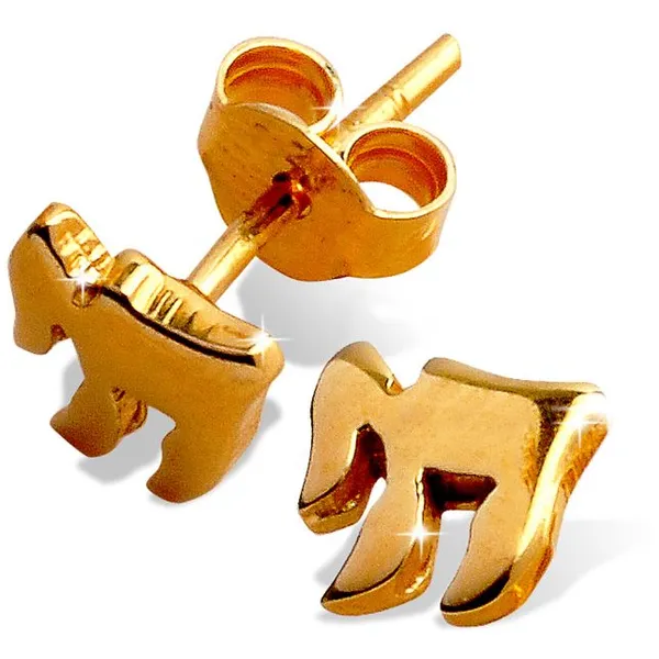 Produktbild des Artikels Ohrstecker Chai ()