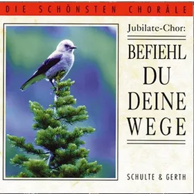 Produktbild des Artikels Befiehl du deine Wege (MP3-Album - Download)