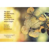 Stimmungsbild zu Ein Licht der Hoffnung in meiner Trauer