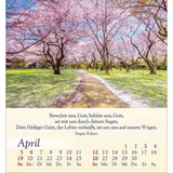 Stimmungsbild zu Licht für deine Seele 2026 - Aufstellkalender