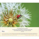 Stimmungsbild zu Balsam für deine Seele 2026 - Wandkalender