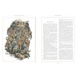 Stimmungsbild zu Die Chroniken von Narnia - illustrierte Gesamtausgabe