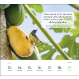 Stimmungsbild zu Sehnsuchtsorte 2026 - Wochenkalender