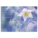 Stimmungsbild zu Postkartenbox "Getragen und getröstet"