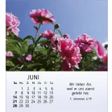 Stimmungsbild zu Ich wünsch dir Freude 2026 - Tischkalender