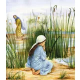 Stimmungsbild zu Entdecke die Bibel