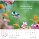 Stimmungsbild zu Meine Zeit 2026 - Verteilkalender