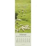 Stimmungsbild zu Sei behütet jeden Tag 2026 - Lesezeichen-Kalender