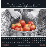 Stimmungsbild zu Kleine Wunder entdecken 2026 - Wandkalender