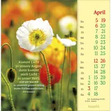 Stimmungsbild zu Phil Bosmans 2026 - Postkartenkalender