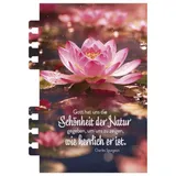 Stimmungsbild zu Tage voller Licht 2026