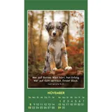 Stimmungsbild zu Hallo Du 2026 - Aufkleber-Kalender