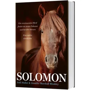 Produktbild des Artikels Solomon (Buch - Klappenbroschur)