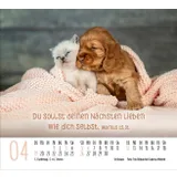 Stimmungsbild zu Begegnungen 2026 - Minikalender