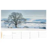 Stimmungsbild zu Life is more 2026 - Panorama-Tischkalender