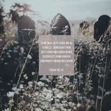 Stimmungsbild zu Psalmen - Tischkalender immerwährend