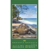 Stimmungsbild zu Hallo Du 2026 - Aufkleber-Kalender